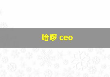 哈啰 ceo